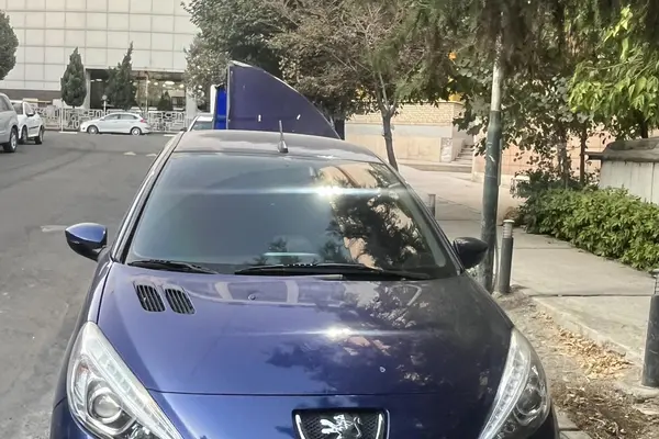 خودرو پژو، 207 آگهی ann_20527306
