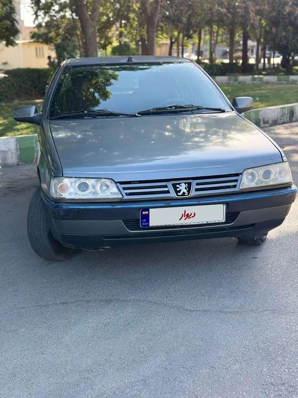 پژو 405 GLX - دوگانه سوز - 1389