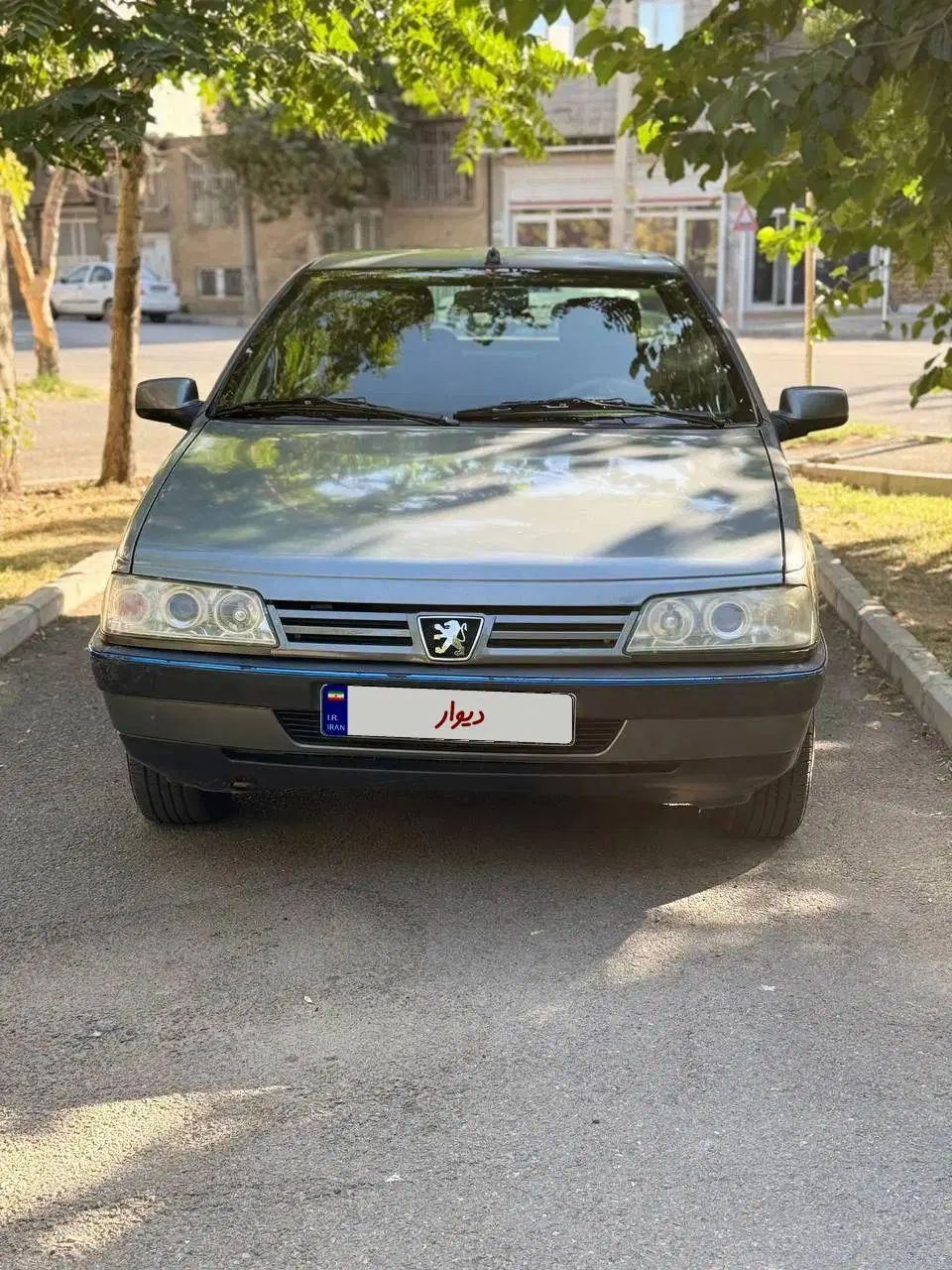 پژو 405 GLX - دوگانه سوز - 1389