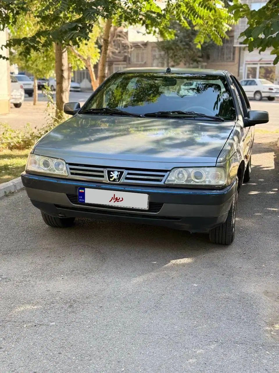 پژو 405 GLX - دوگانه سوز - 1389