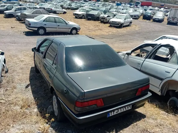 پژو 405 GLX - دوگانه سوز - 1386