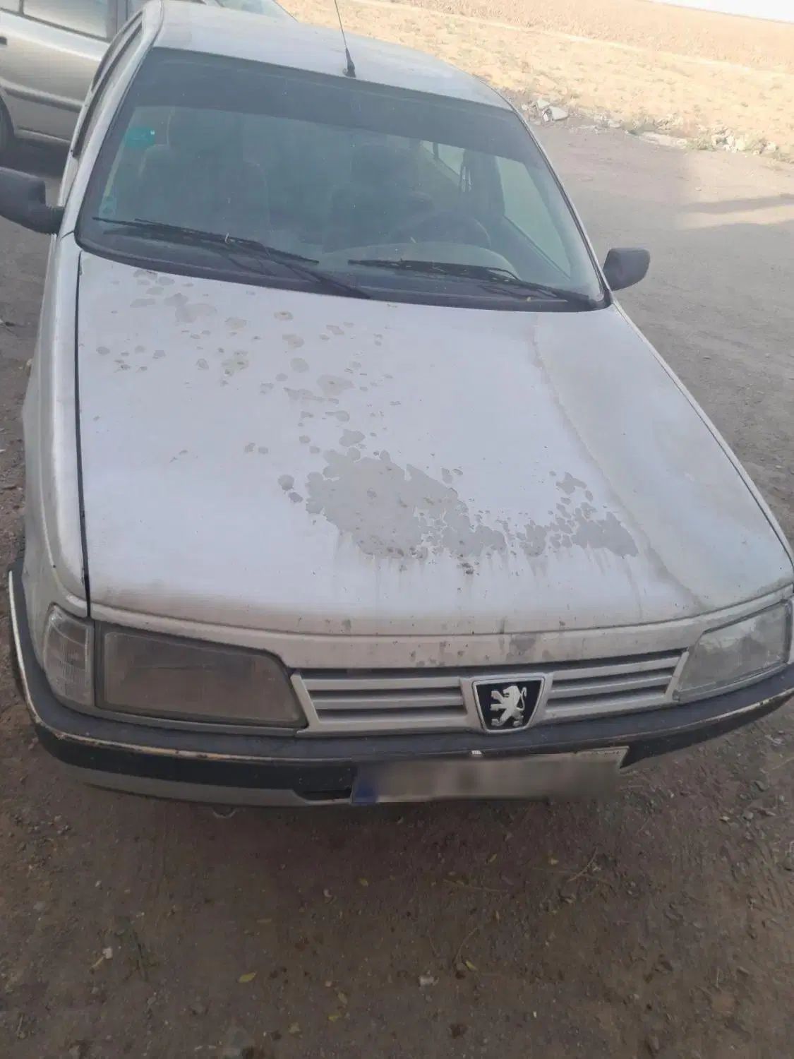 پژو 405 GLI - دوگانه سوز CNG - 1387