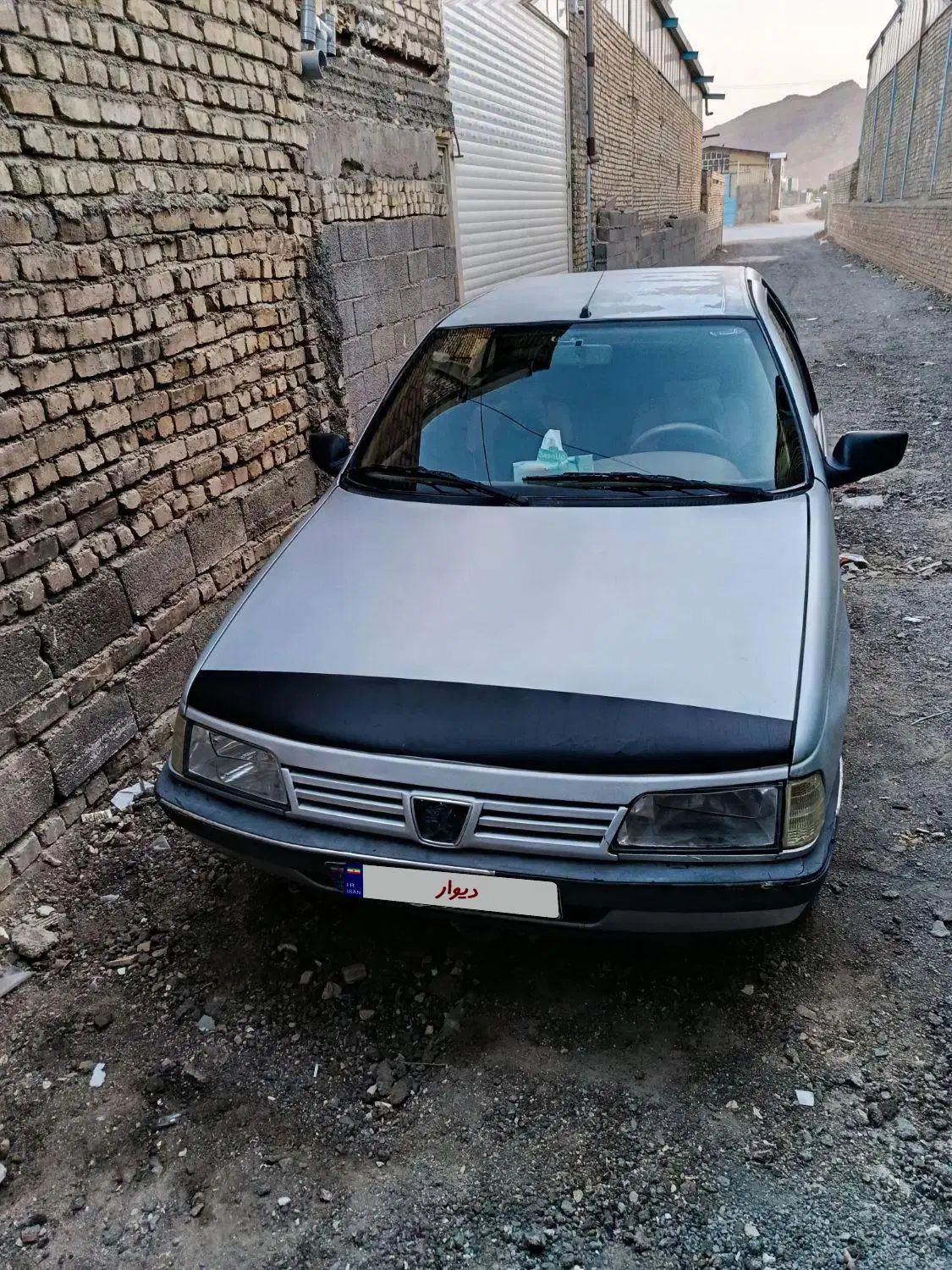 پژو 405 GLX - دوگانه سوز - 1391