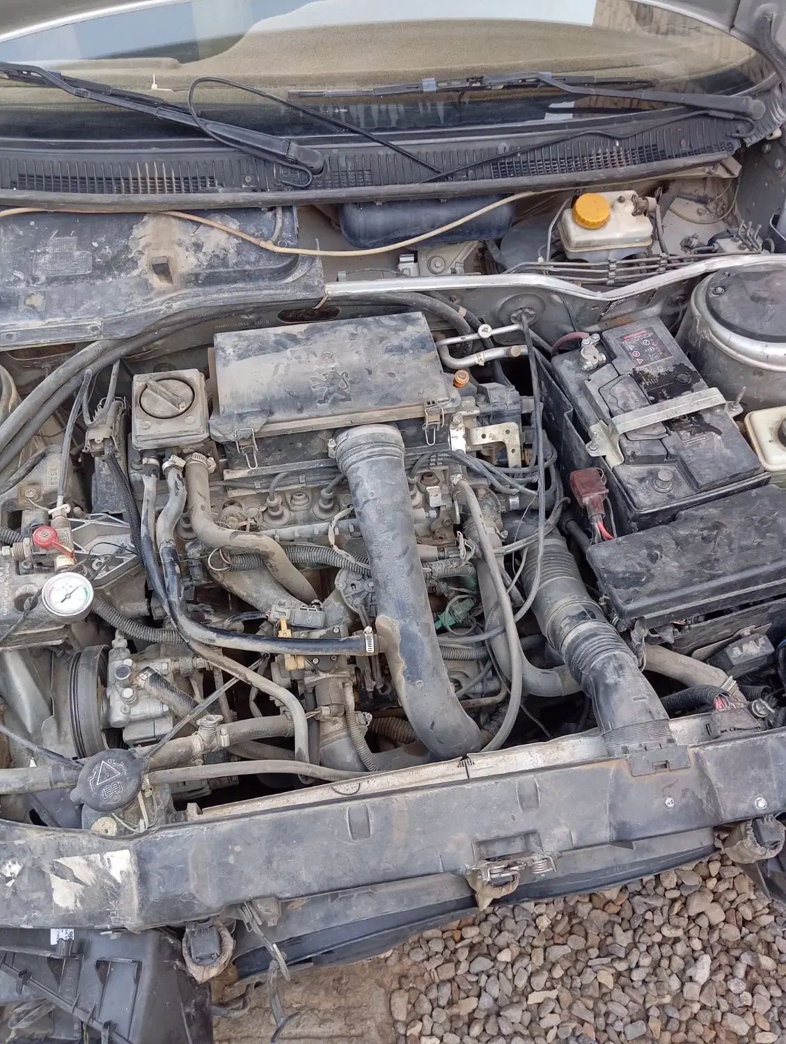 پژو 405 GLX - دوگانه سوز - 1390
