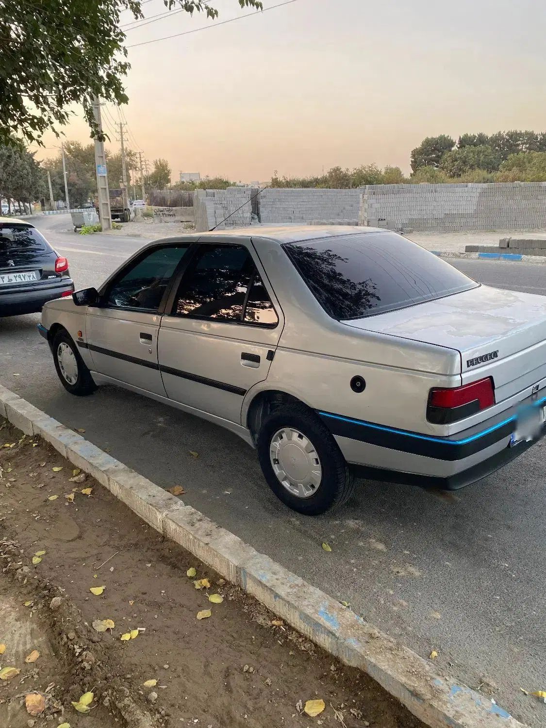 پژو 405 GLX - دوگانه سوز - 1389