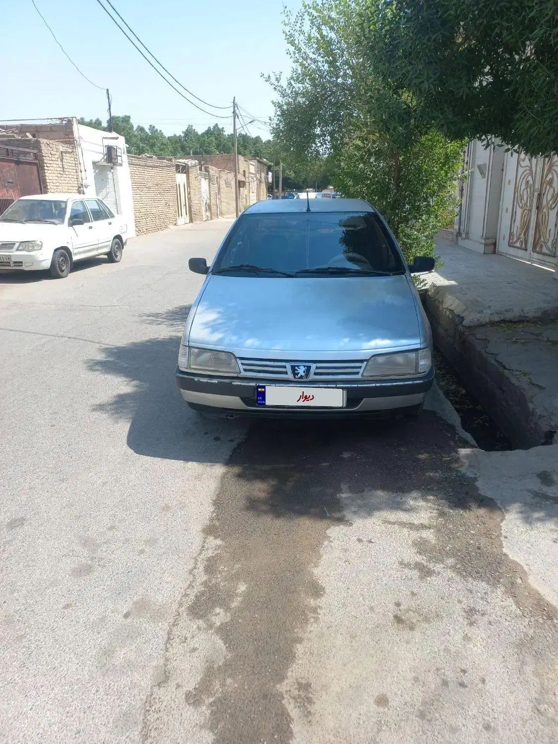 پژو 405 GLX - دوگانه سوز - 1390