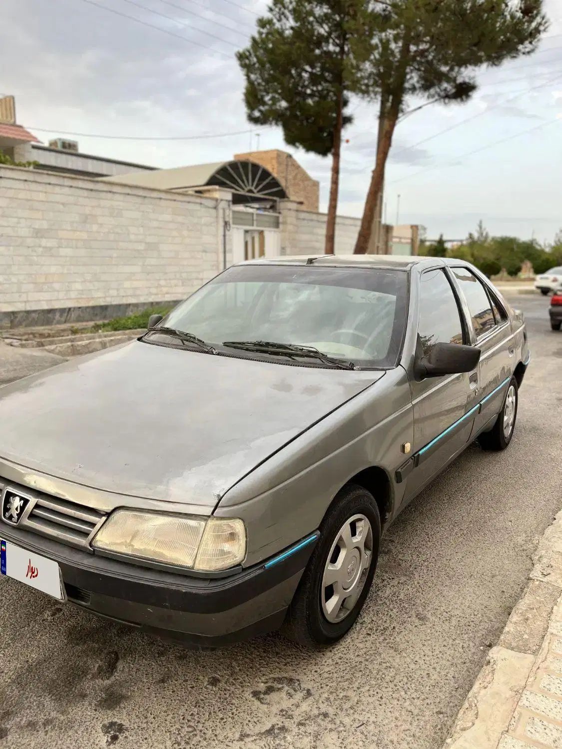 پژو 405 GLX - دوگانه سوز - 1391