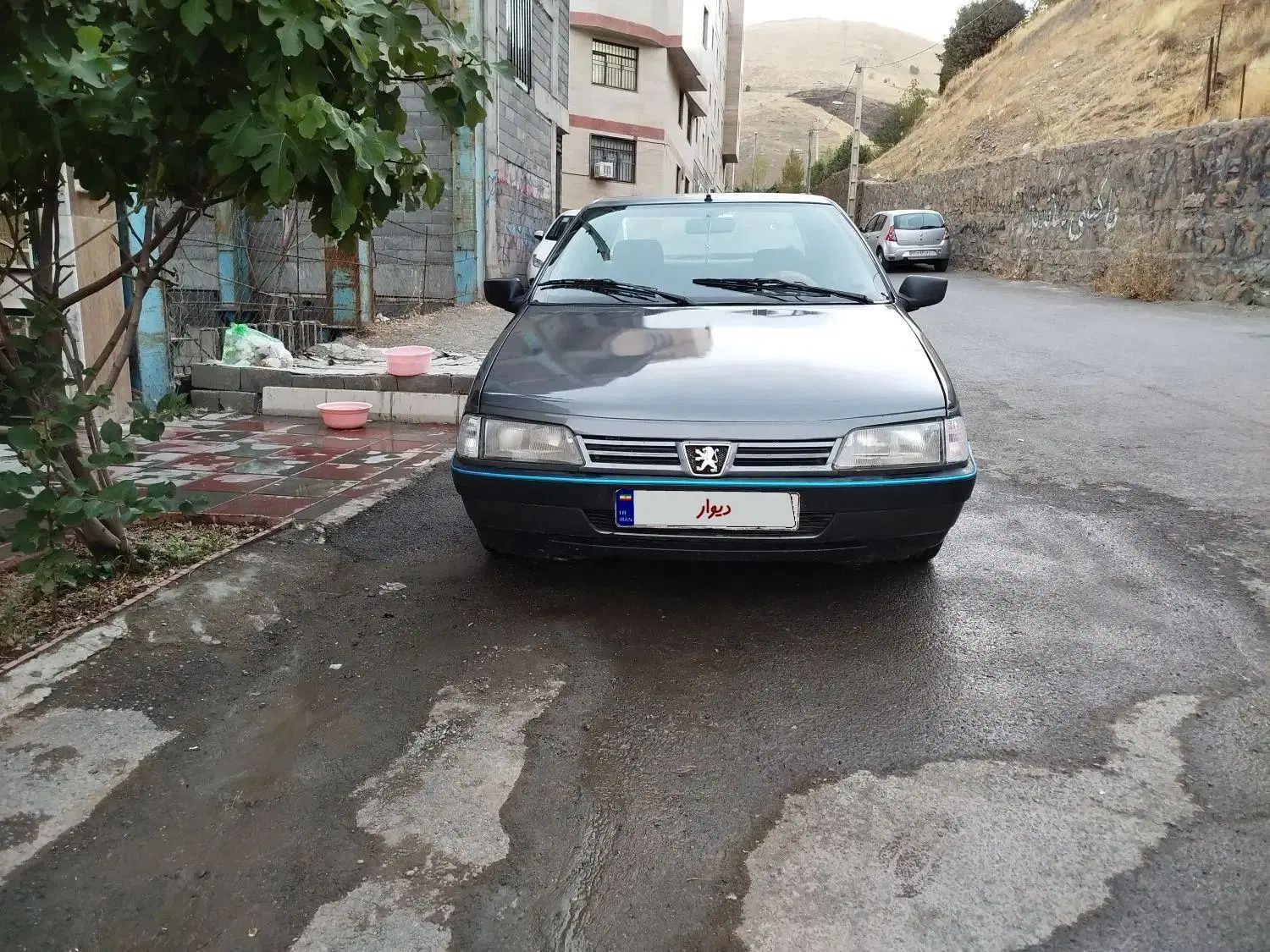 پژو 405 GLX - دوگانه سوز - 1391