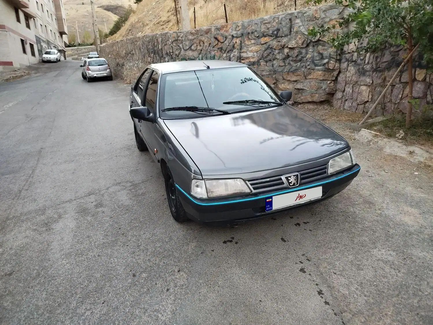 پژو 405 GLX - دوگانه سوز - 1391