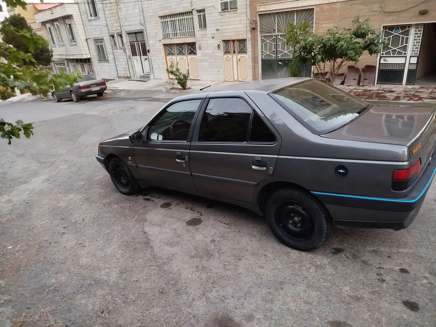 پژو 405 GLX - دوگانه سوز - 1391