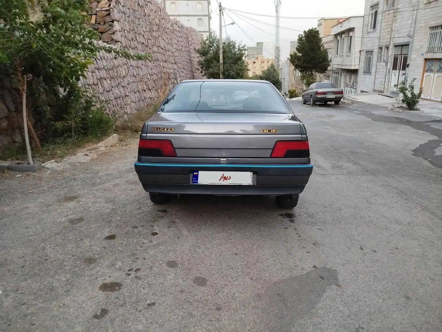 پژو 405 GLX - دوگانه سوز - 1391