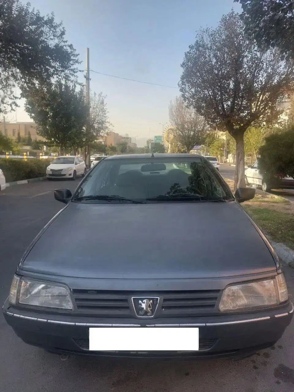 پژو 405 GLX - دوگانه سوز - 1389