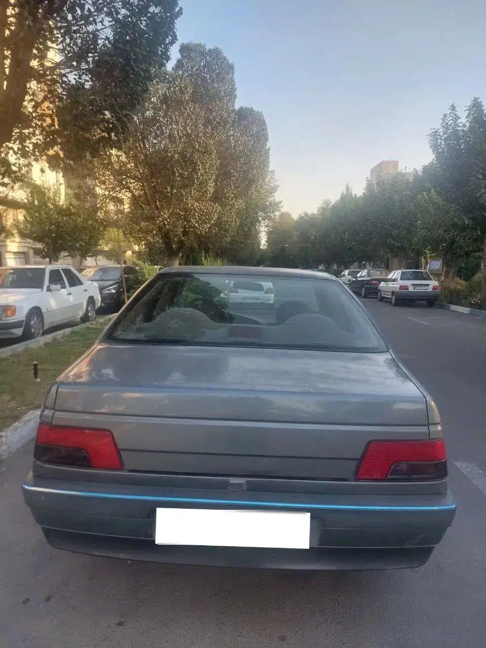 پژو 405 GLX - دوگانه سوز - 1389