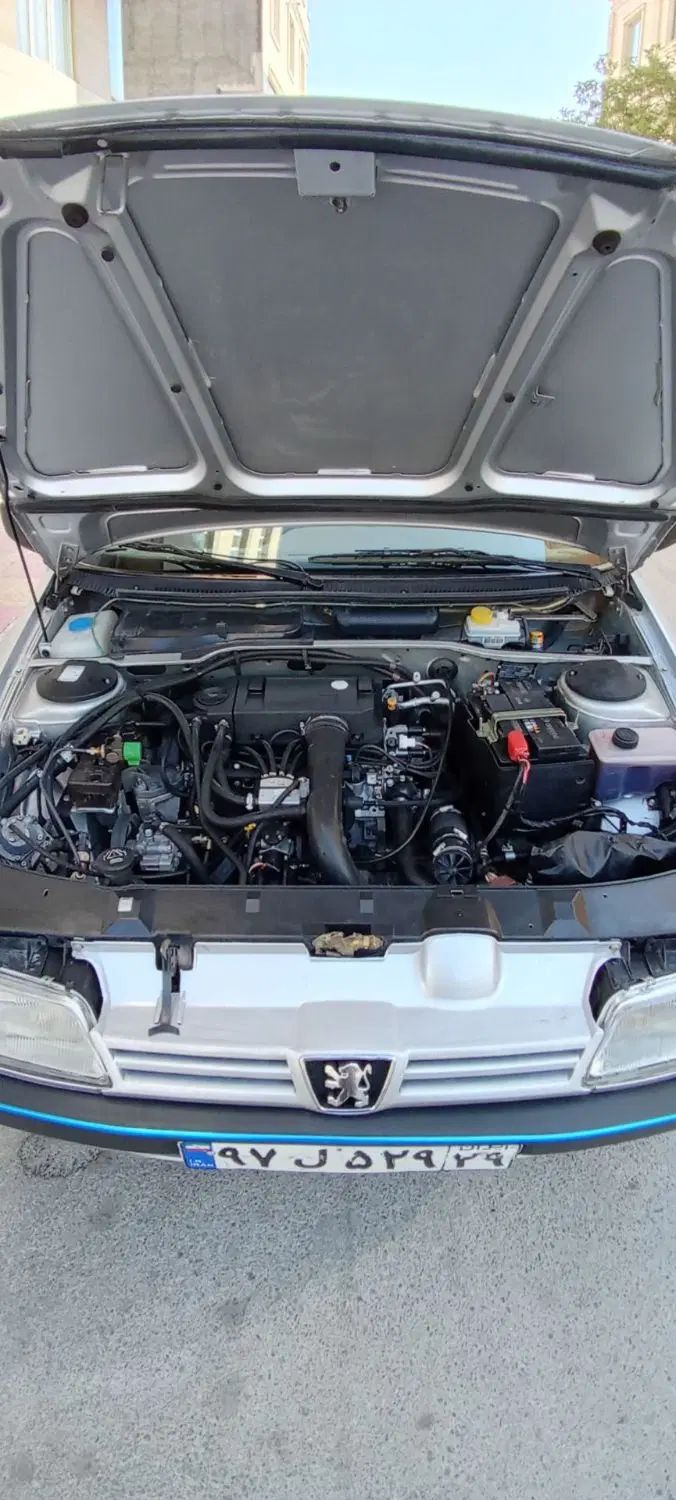 پژو 405 GLX - دوگانه سوز - 1393
