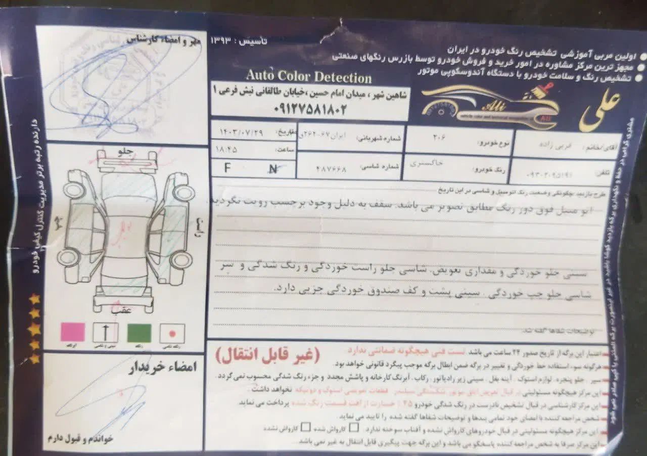 پژو 206 تیپ 2 - 1389
