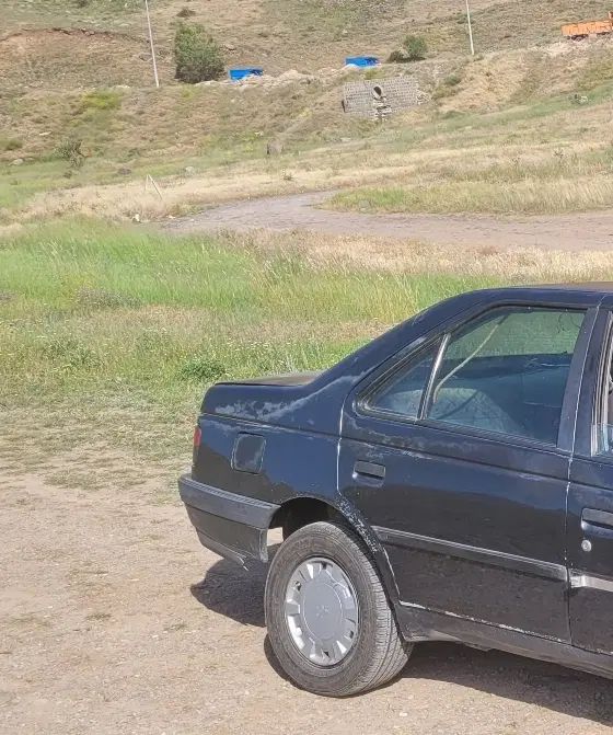 پژو 405 بنزینی GLX - TU5 - 1388