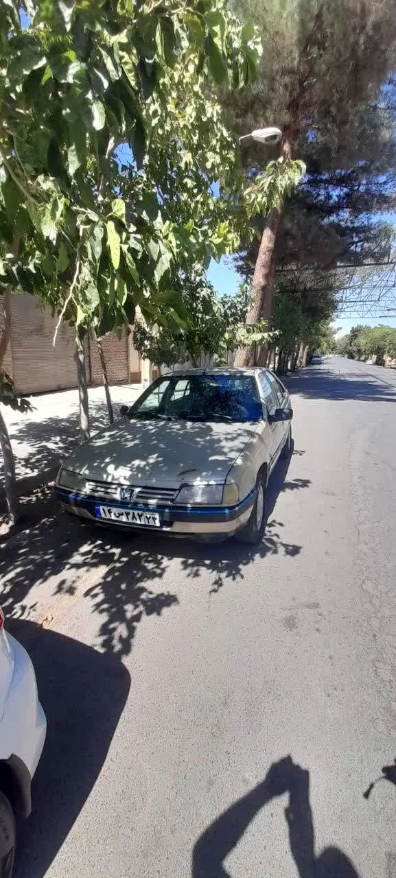 پژو 405 GLX - 1383