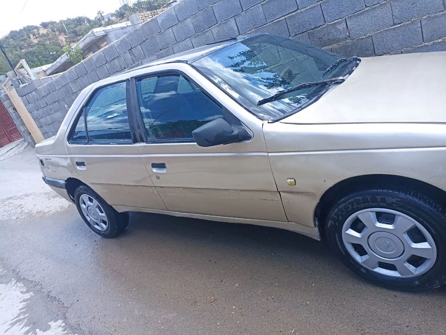 پژو 405 GLI - دوگانه سوز CNG - 1383