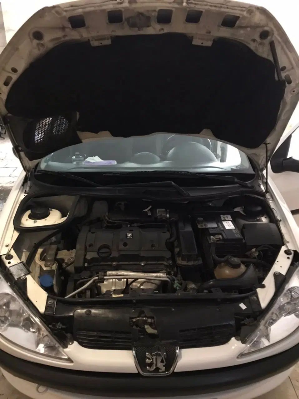 پژو ۲۰۶ صندوق دار v8 - 1399