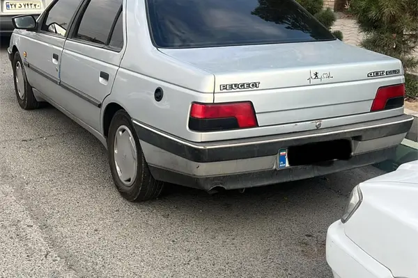 پژو 405 GLX - دوگانه سوز - 1394