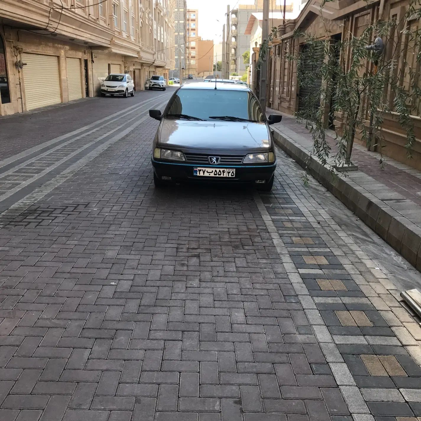 پژو 405 GLX - دوگانه سوز - 1381