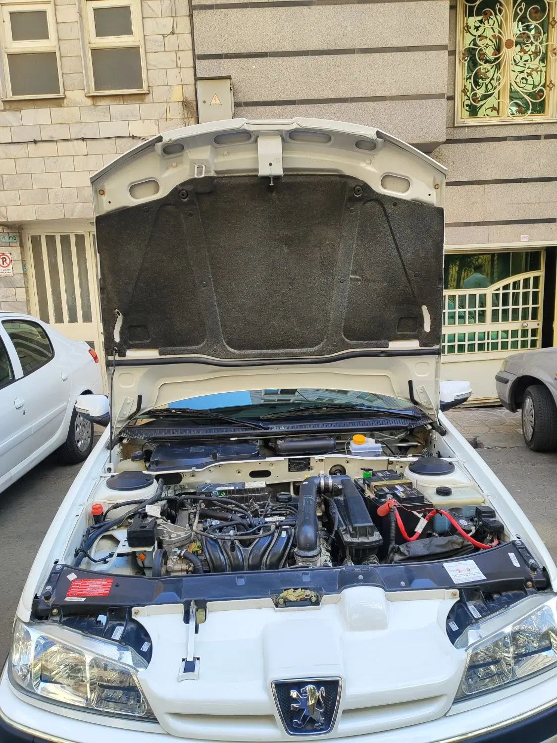 پژو پارس ELX-XU7P سفارشی - 1402