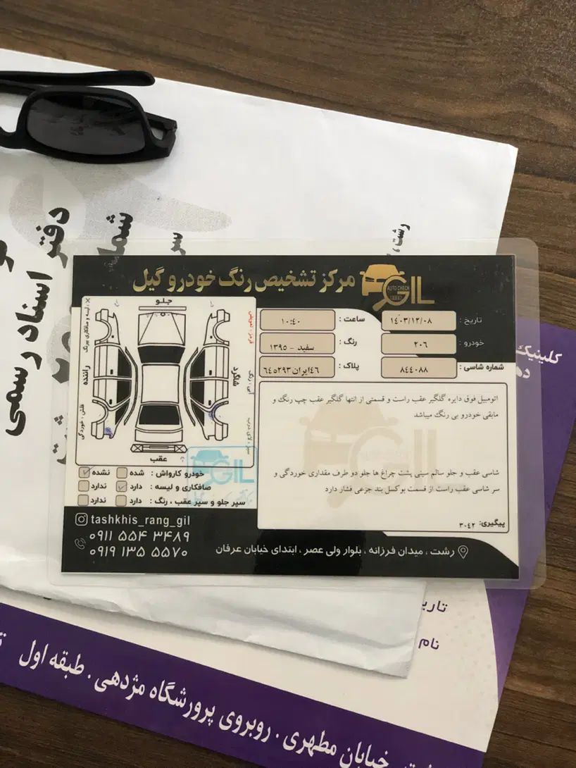 پژو 206 تیپ 2 - 1395