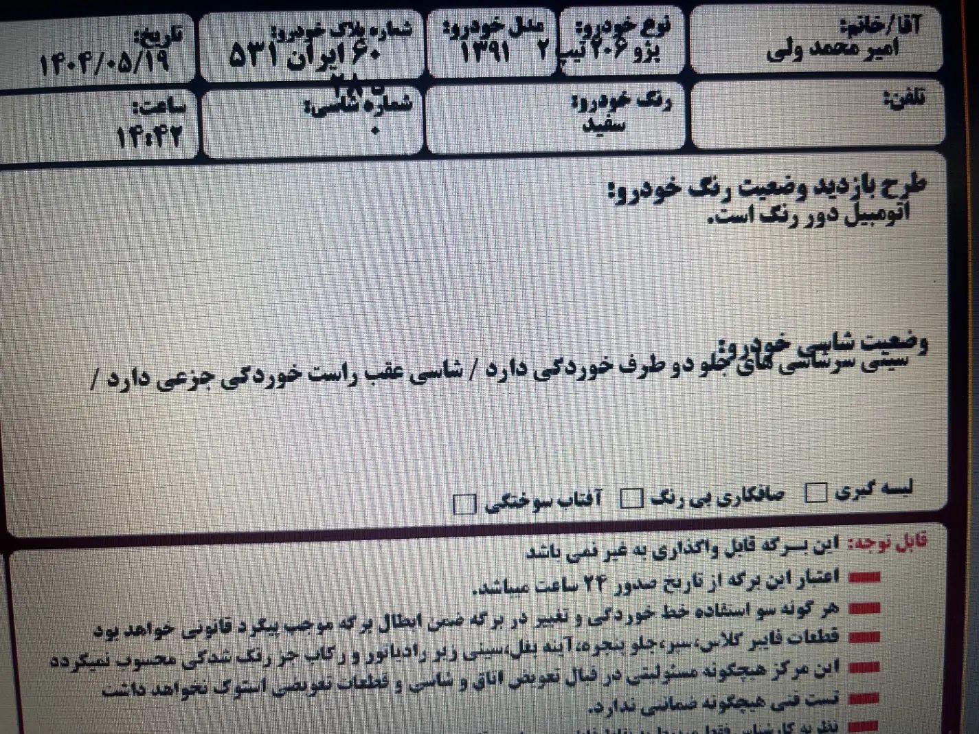 پژو 206 تیپ 2 - 1391