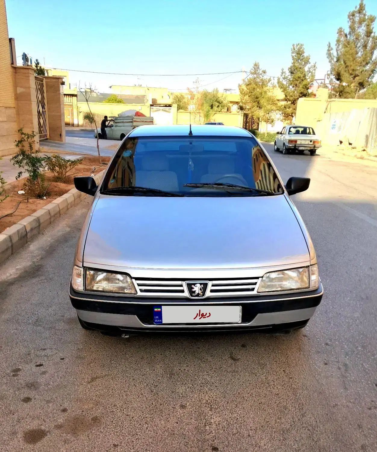 پژو 405 GLX - دوگانه سوز - 1391