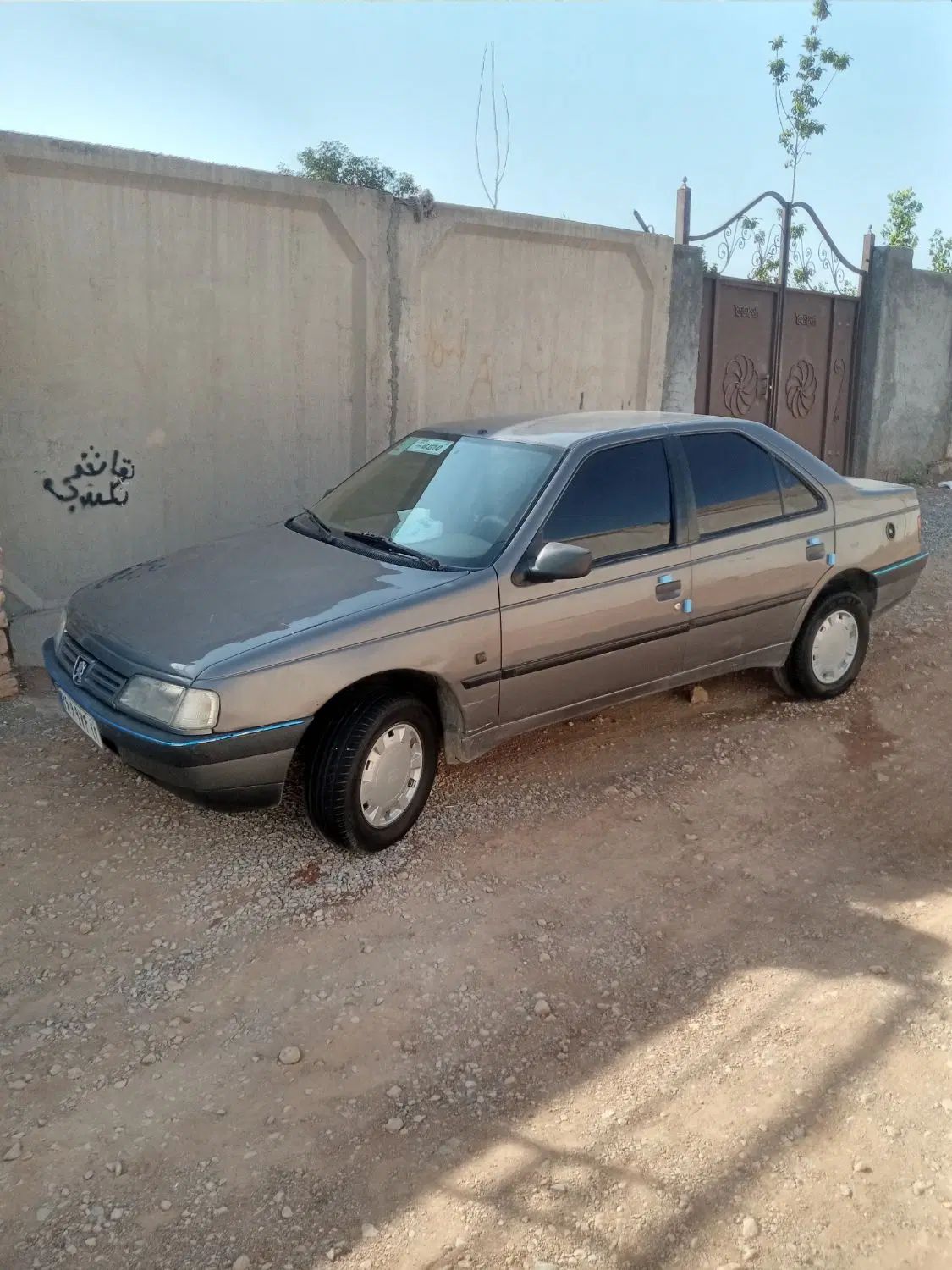 پژو 405 GLX - دوگانه سوز - 1390