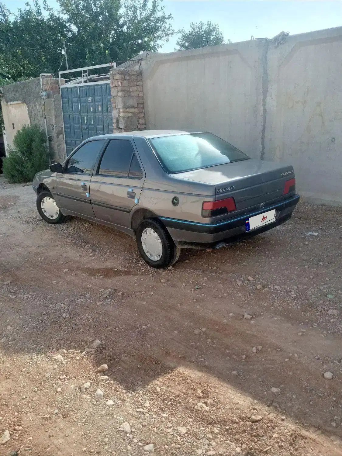 پژو 405 GLX - دوگانه سوز - 1390