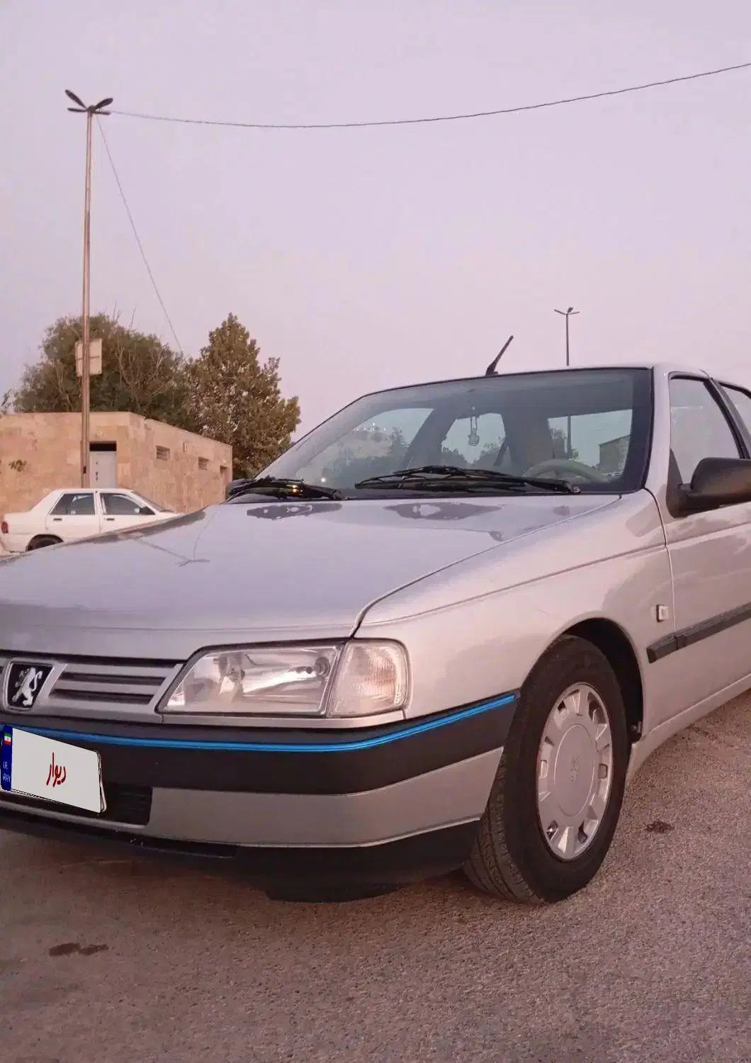 پژو 405 GLX - دوگانه سوز - 1390