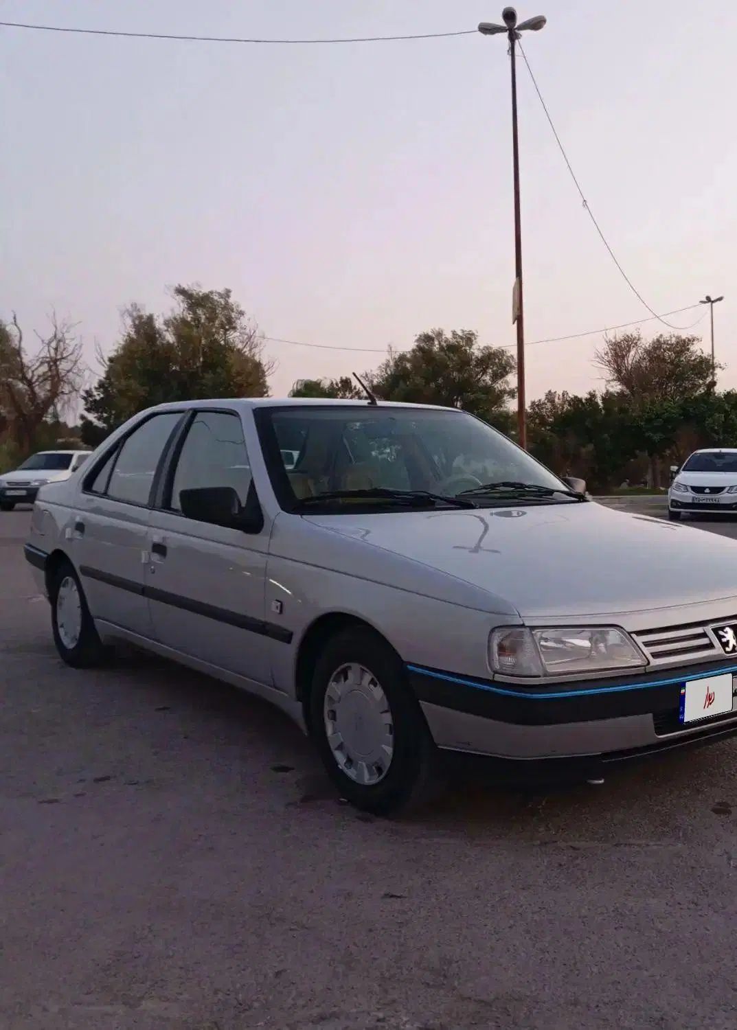 پژو 405 GLX - دوگانه سوز - 1390
