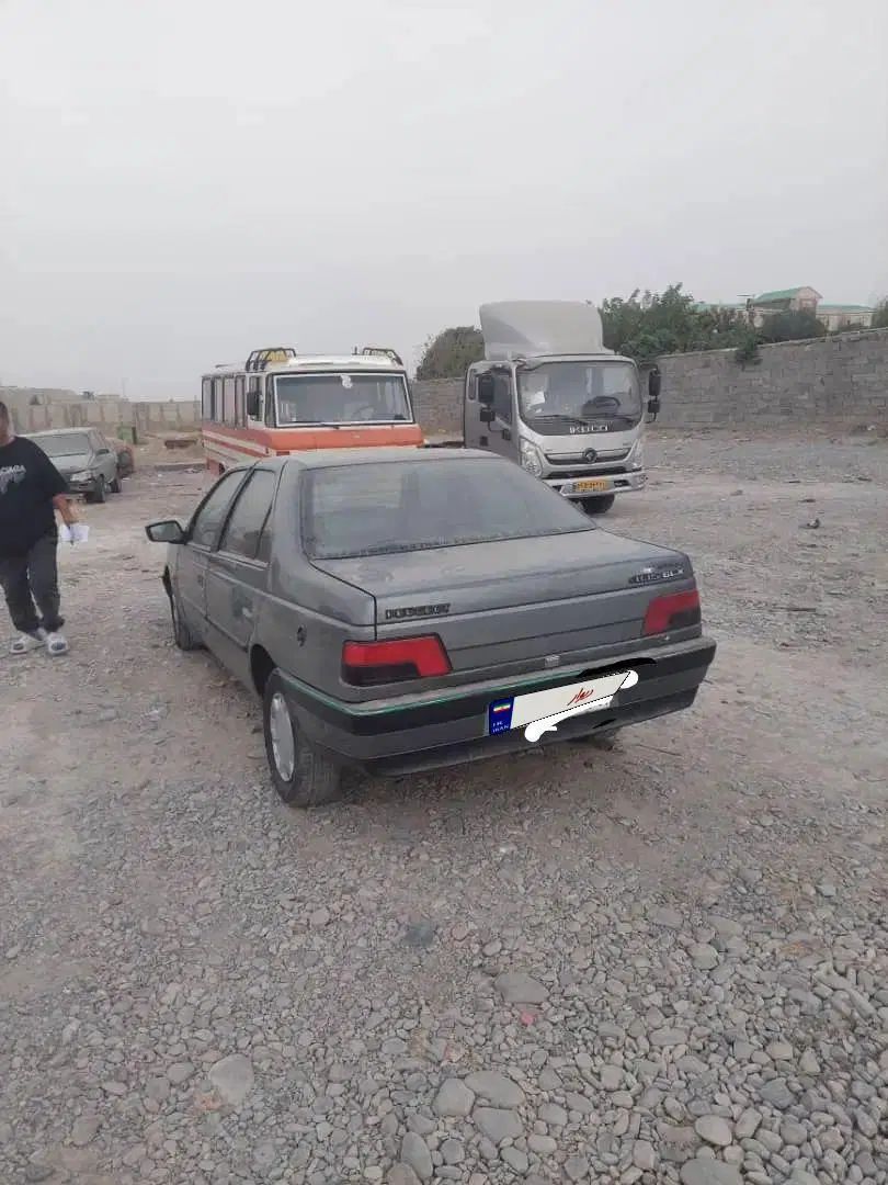 پژو 405 GLX - دوگانه سوز - 1388