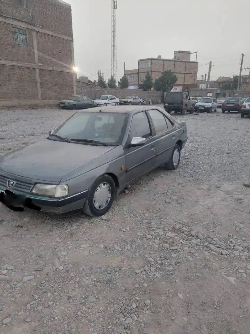 پژو 405 GLX - دوگانه سوز - 1388