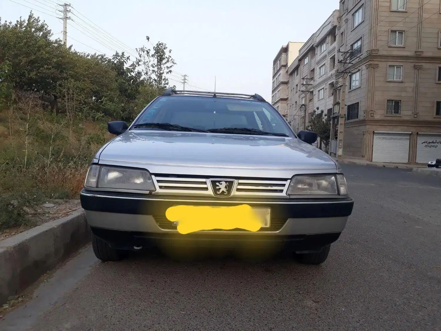 پژو 405 GLX - دوگانه سوز - 1393