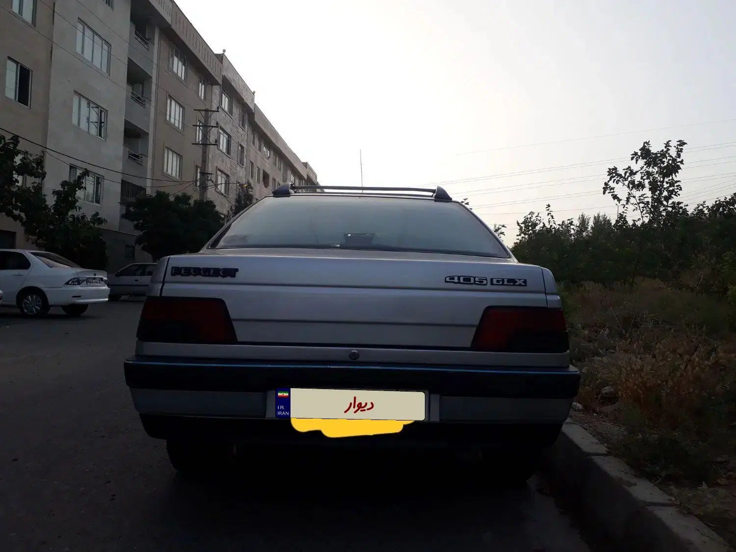 پژو 405 GLX - دوگانه سوز - 1393