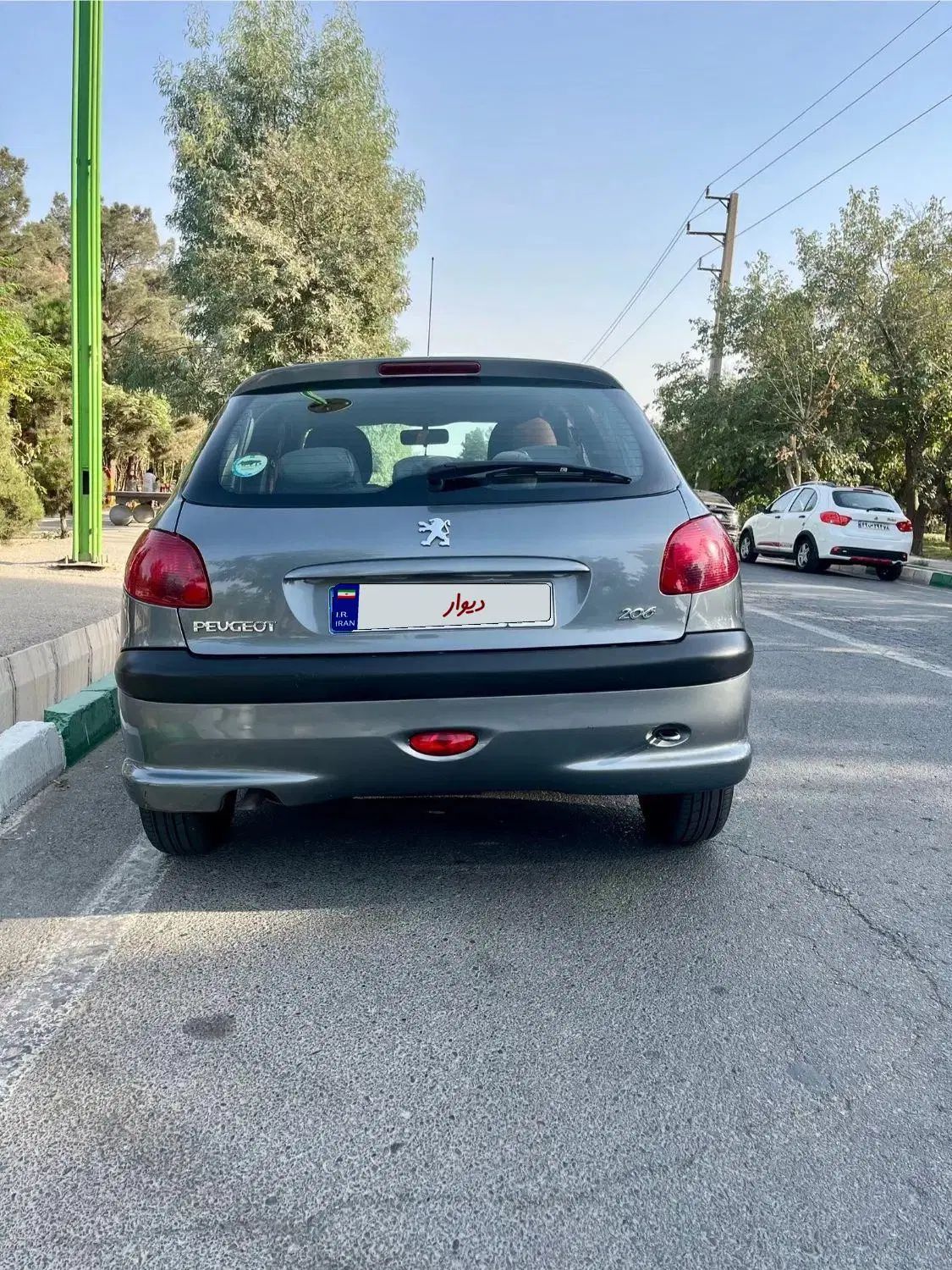 پژو 206 تیپ 5 - 1399