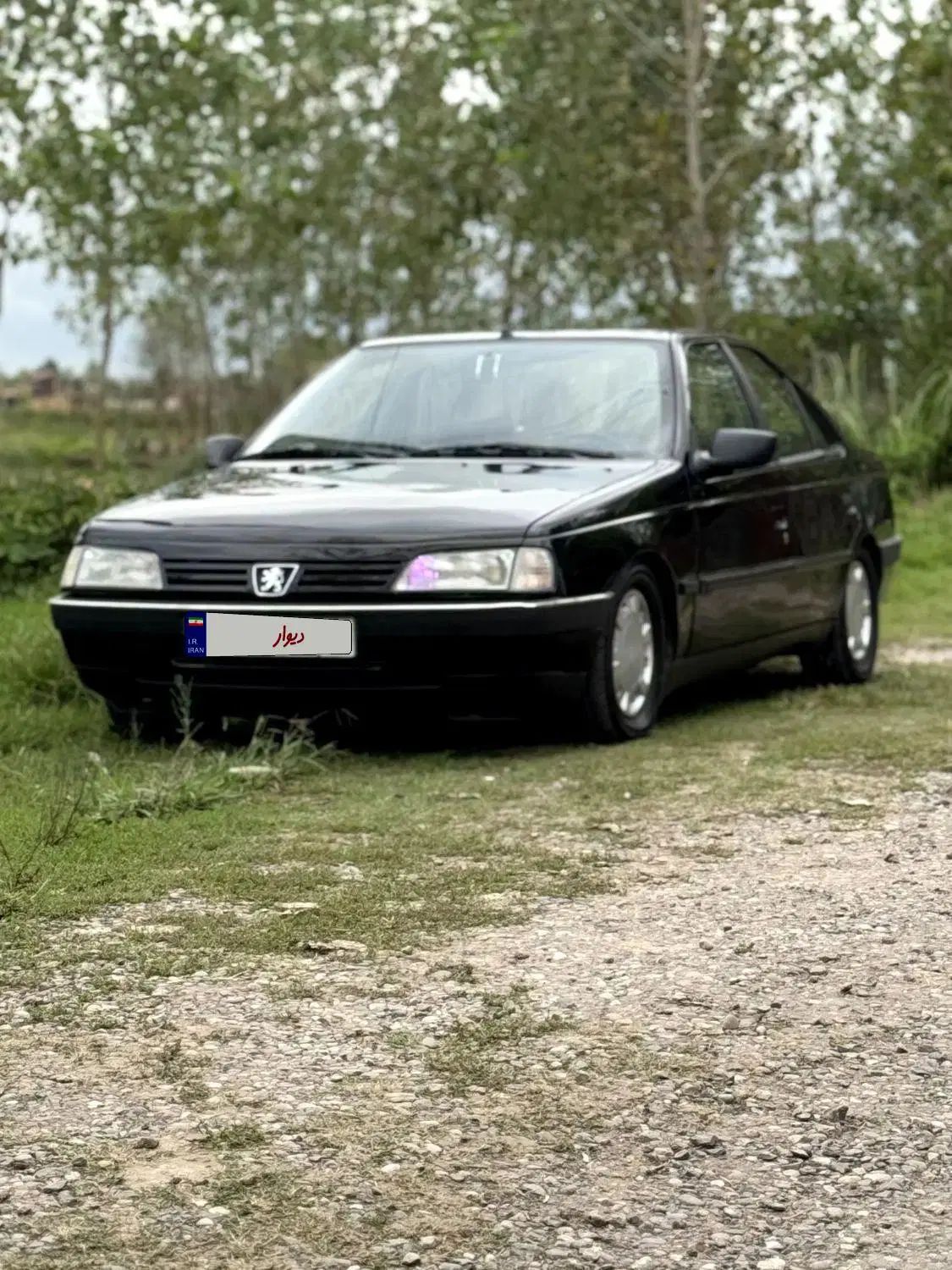 پژو 405 GLX - 1384
