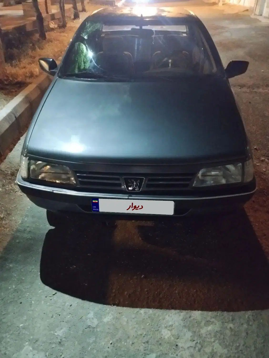 پژو 405 GLX - دوگانه سوز - 1391