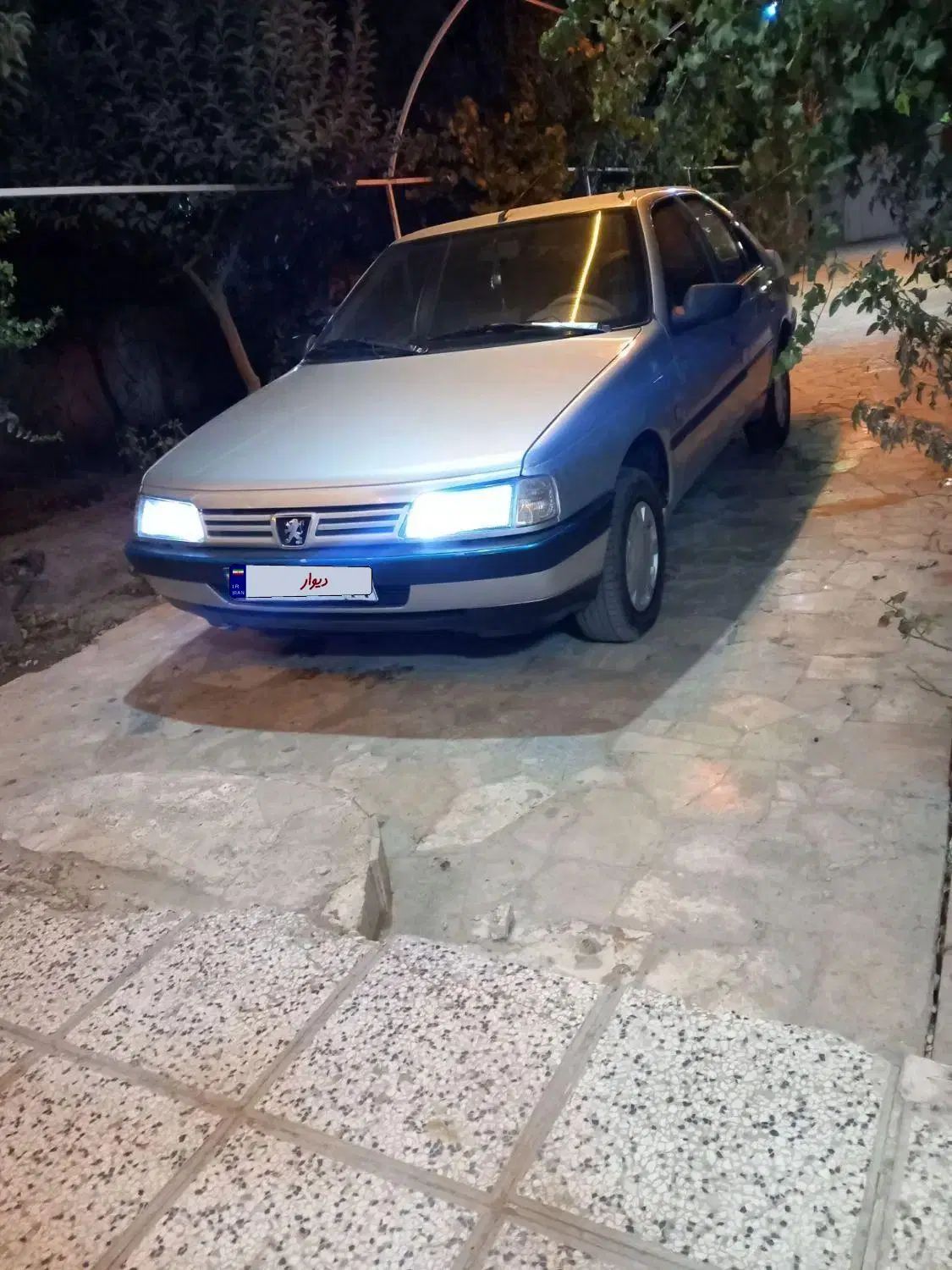 پژو 405 GLX - دوگانه سوز - 1393