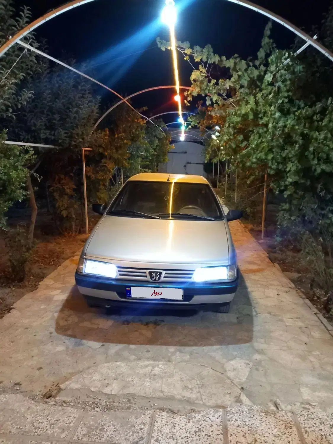 پژو 405 GLX - دوگانه سوز - 1393