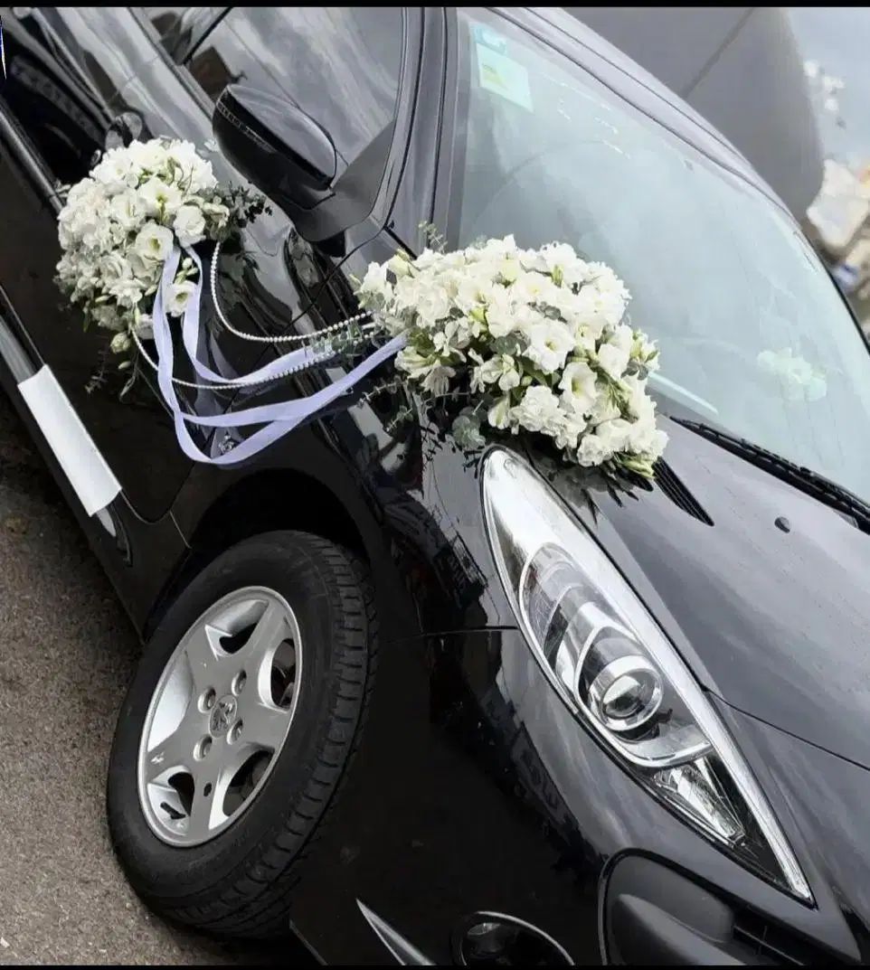 خودرو پژو، 207 آگهی ann_20545790
