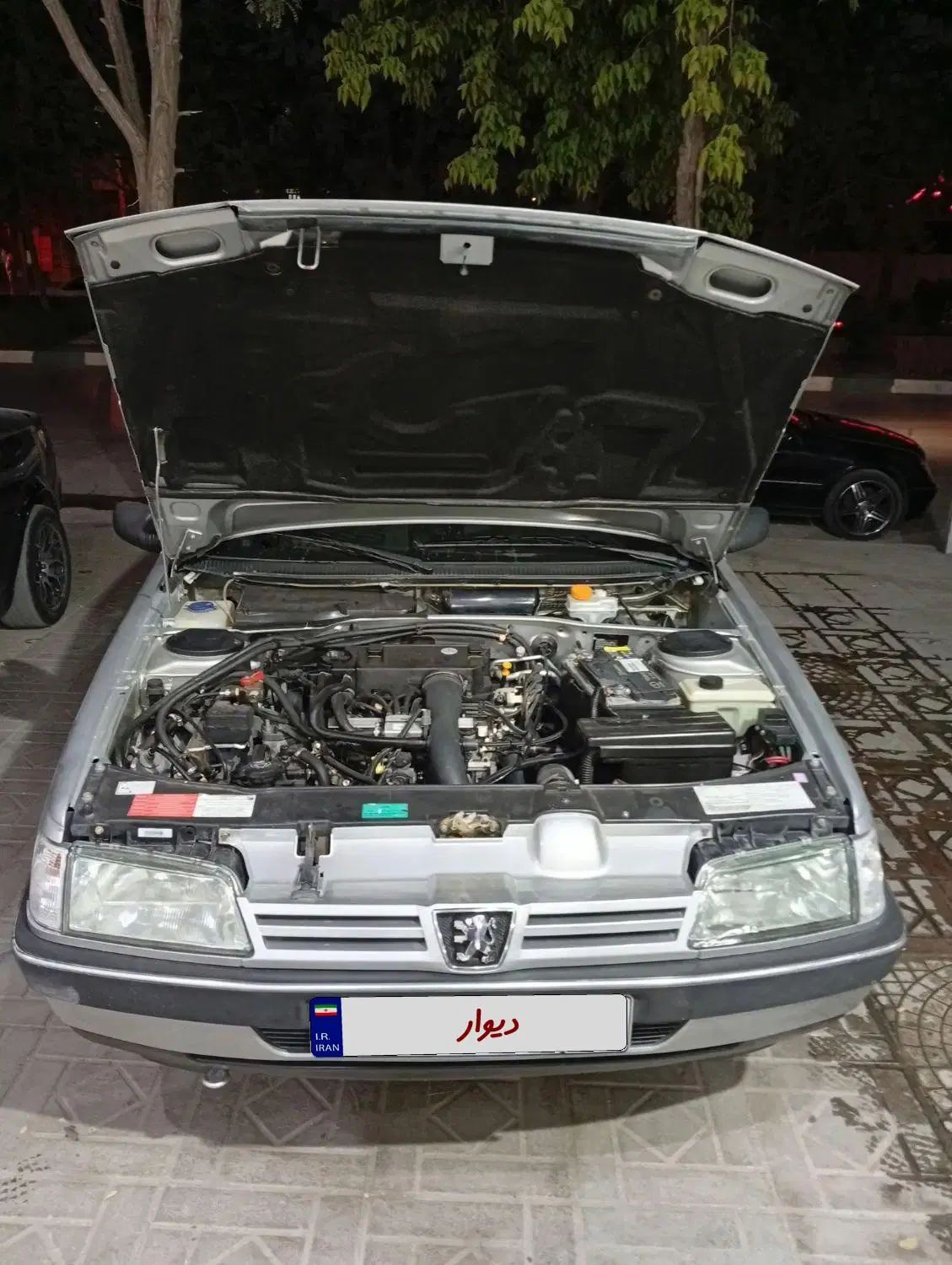 پژو 405 GLX - دوگانه سوز - 1388