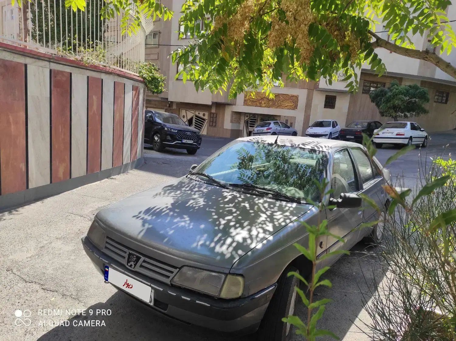 پژو 405 GLX - دوگانه سوز - 1389