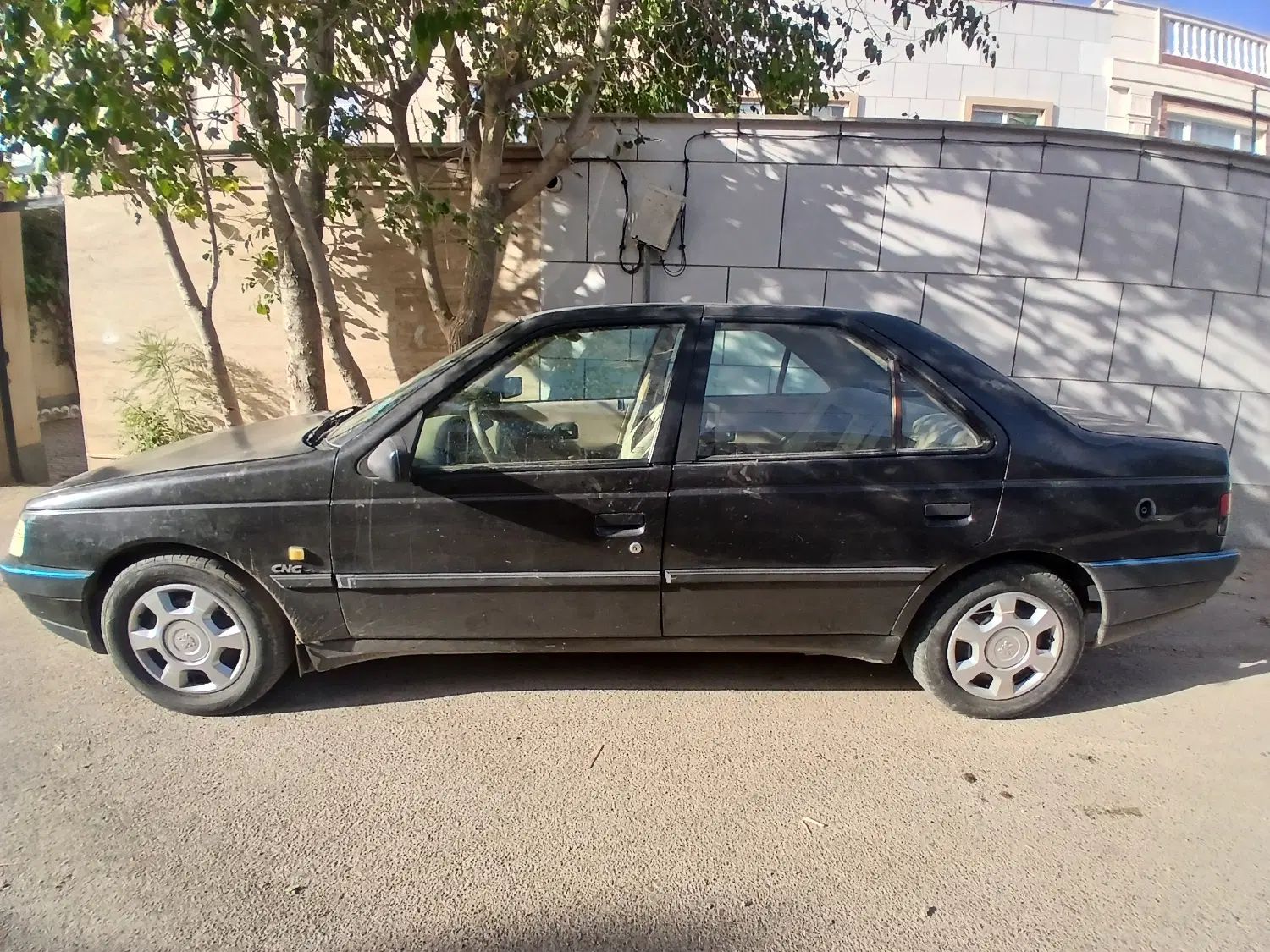 پژو 405 GLX - دوگانه سوز - 1389