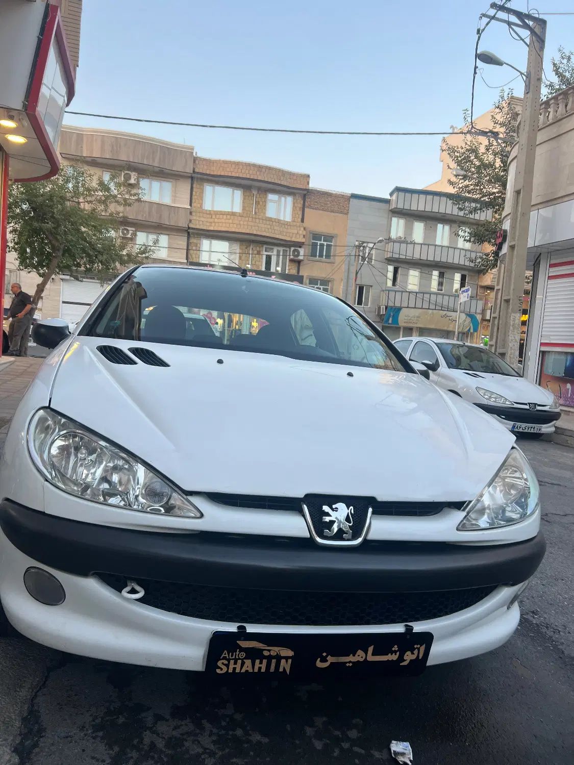 پژو 206 تیپ 5 - 1393