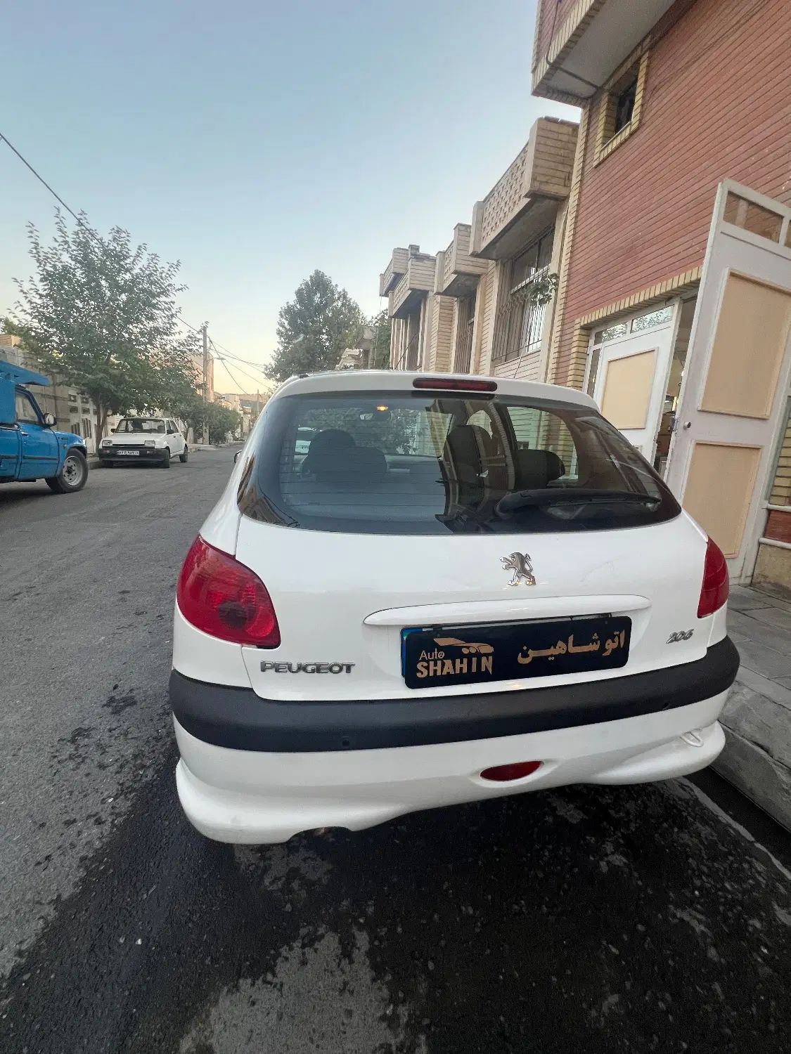 پژو 206 تیپ 5 - 1393