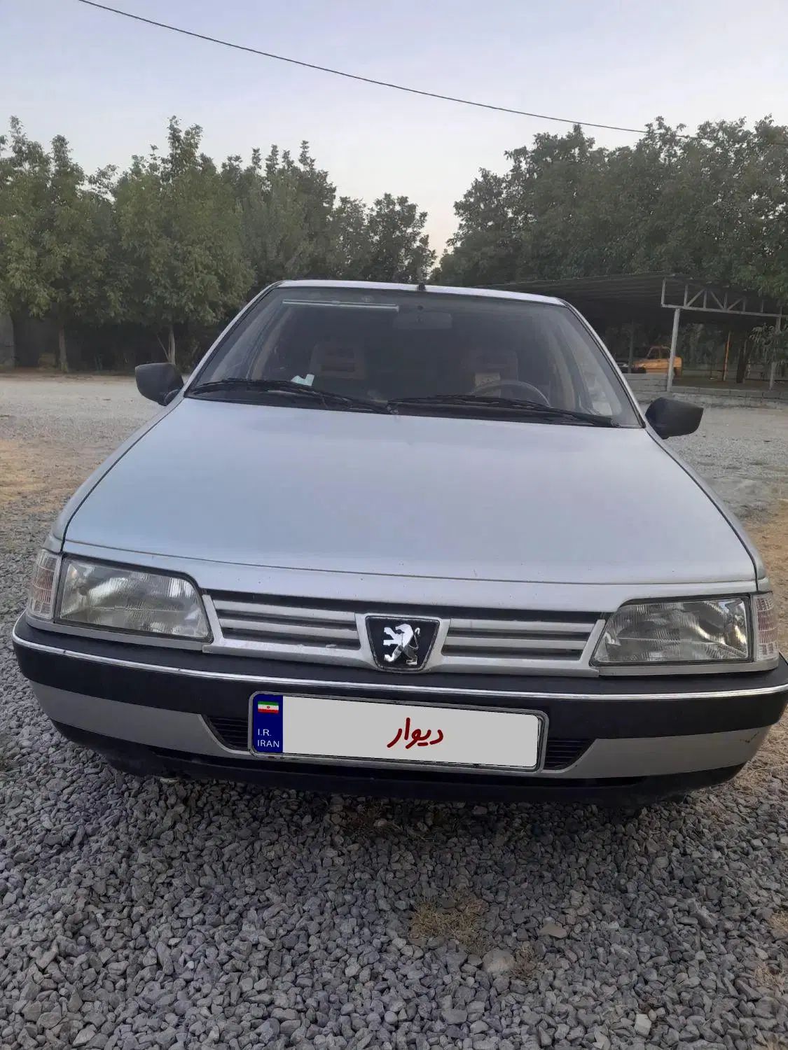 پژو 405 GLX - دوگانه سوز - 1390