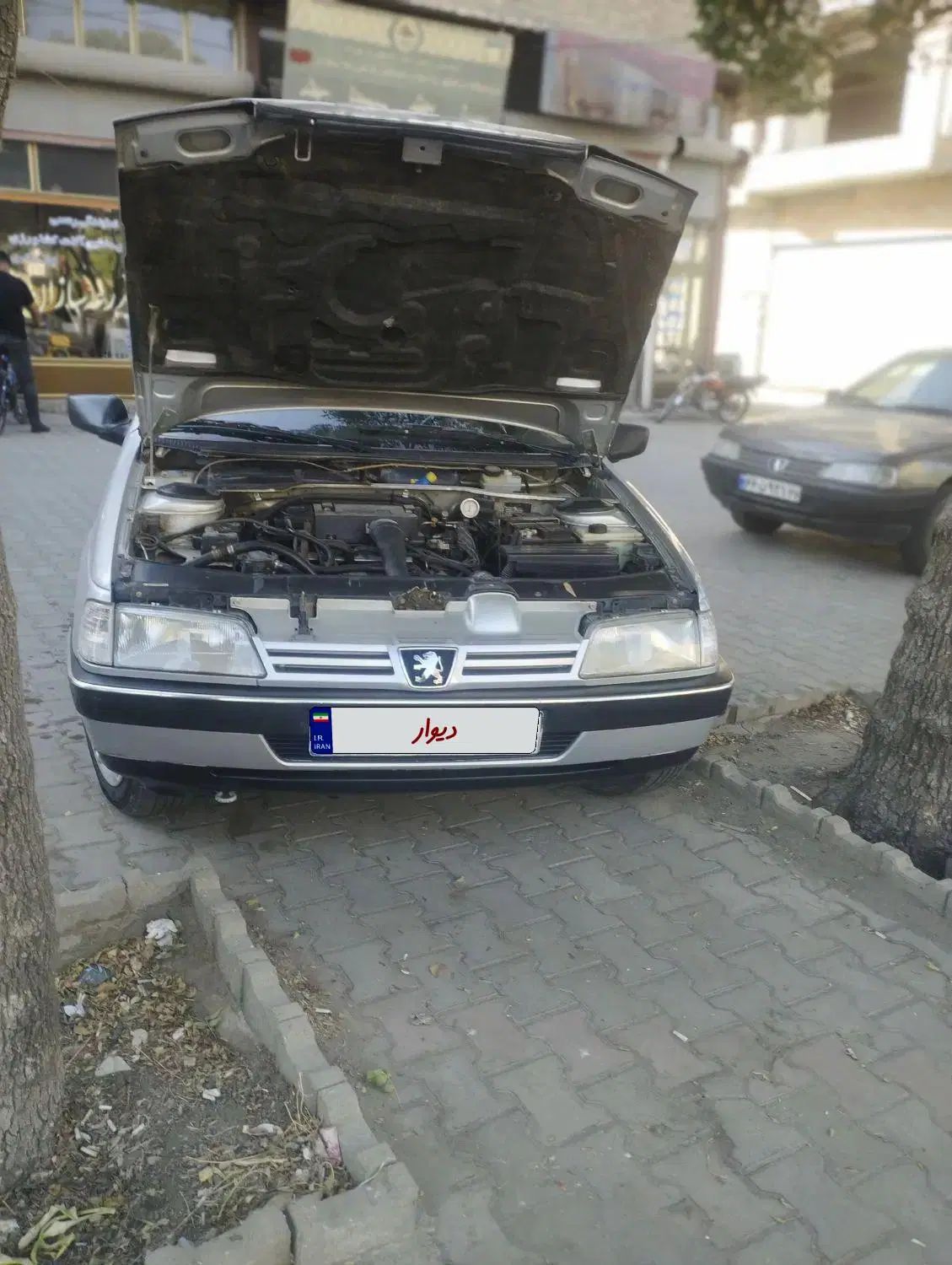 پژو 405 GLX - دوگانه سوز - 1388